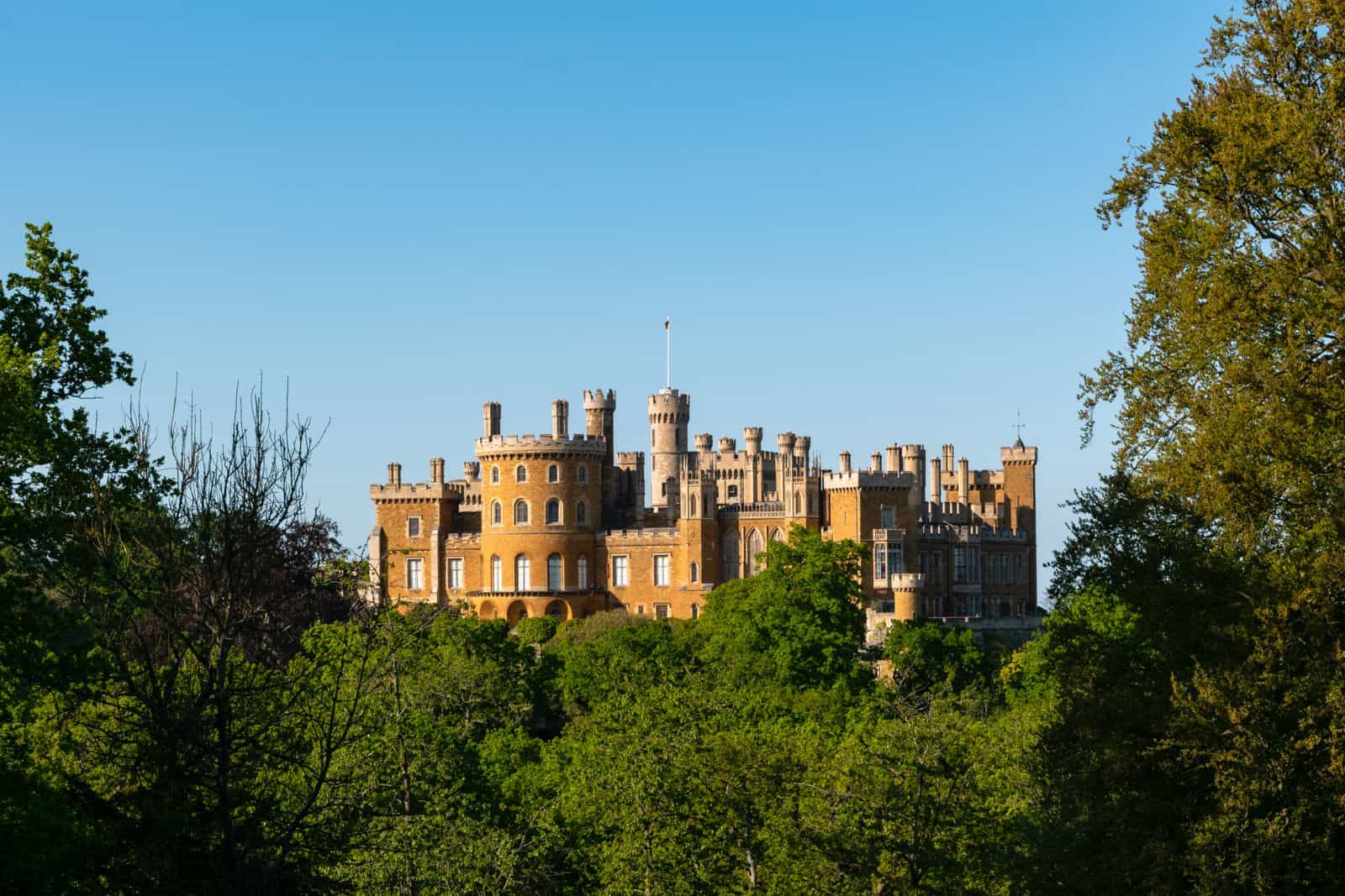 belvoir castle (5)